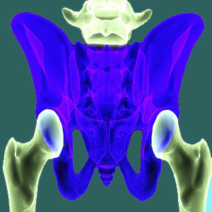 Sacroiliac Joint Nocebo